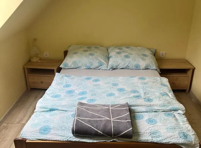 Nad Strumykiem Max Apartamento Duszniki Zdrój